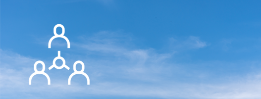 The Board of Directors