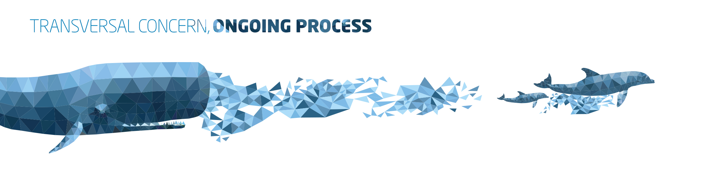 Transversal concern, ongoing process