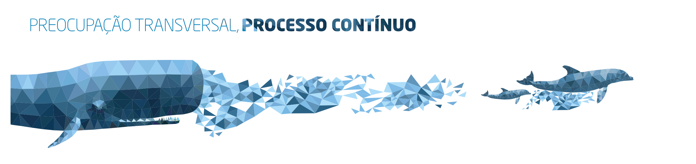 Preocupação transversal, processo contínuo